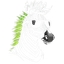 Zebrafy