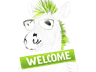 Zebrafy founder